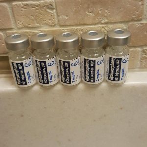 Dilaudid hydromorfon injektion ampuller til hurtig smertelindring